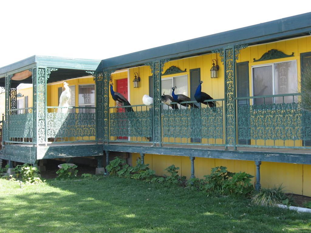 Scottys Junction Shady Lady Bed And Breakfast מראה חיצוני תמונה